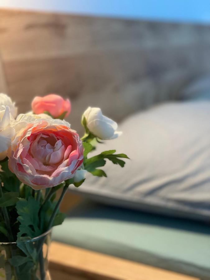 Apartman Plesivec U Sjezdovky Abertamy Extérieur photo